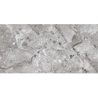 AVOLA GREY GLOSSY REKT. 30X60 GAT.1