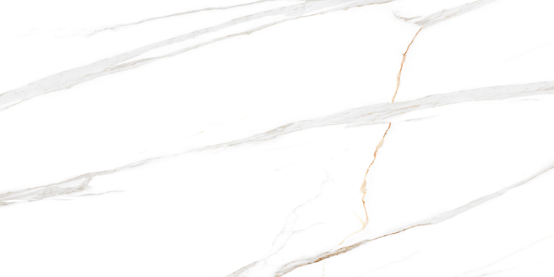 DARTREY WHITE NEW GLOSSY REKT. 30X60 GAT.1