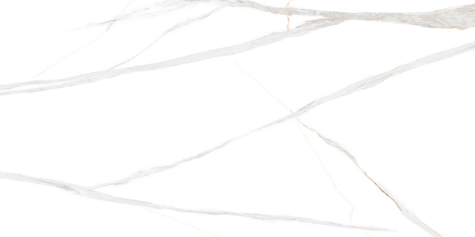 DARTREY WHITE NEW GLOSSY REKT. 30X60 GAT.1 preview
