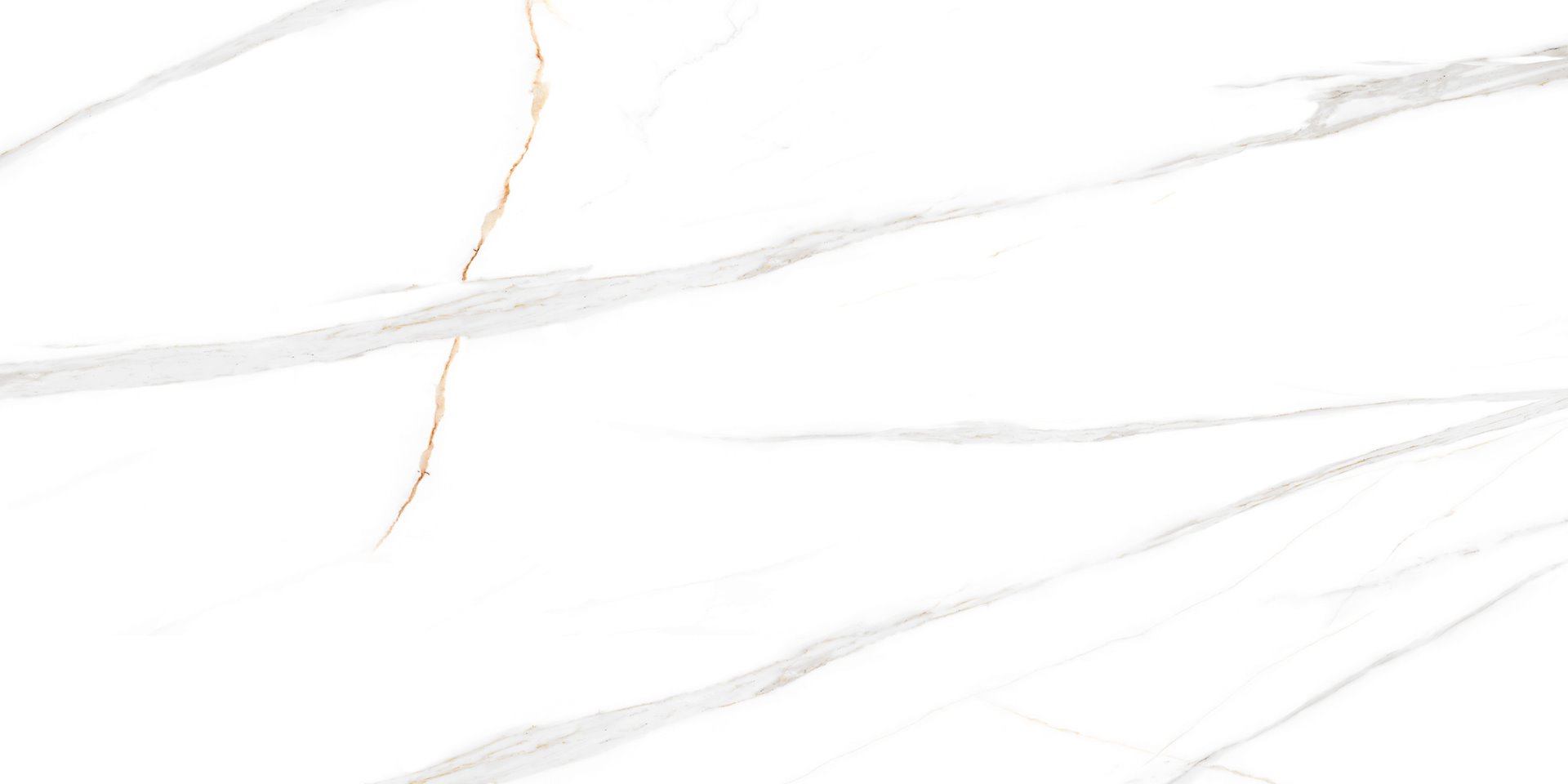 DARTREY WHITE NEW GLOSSY REKT. 30X60 GAT.1 preview