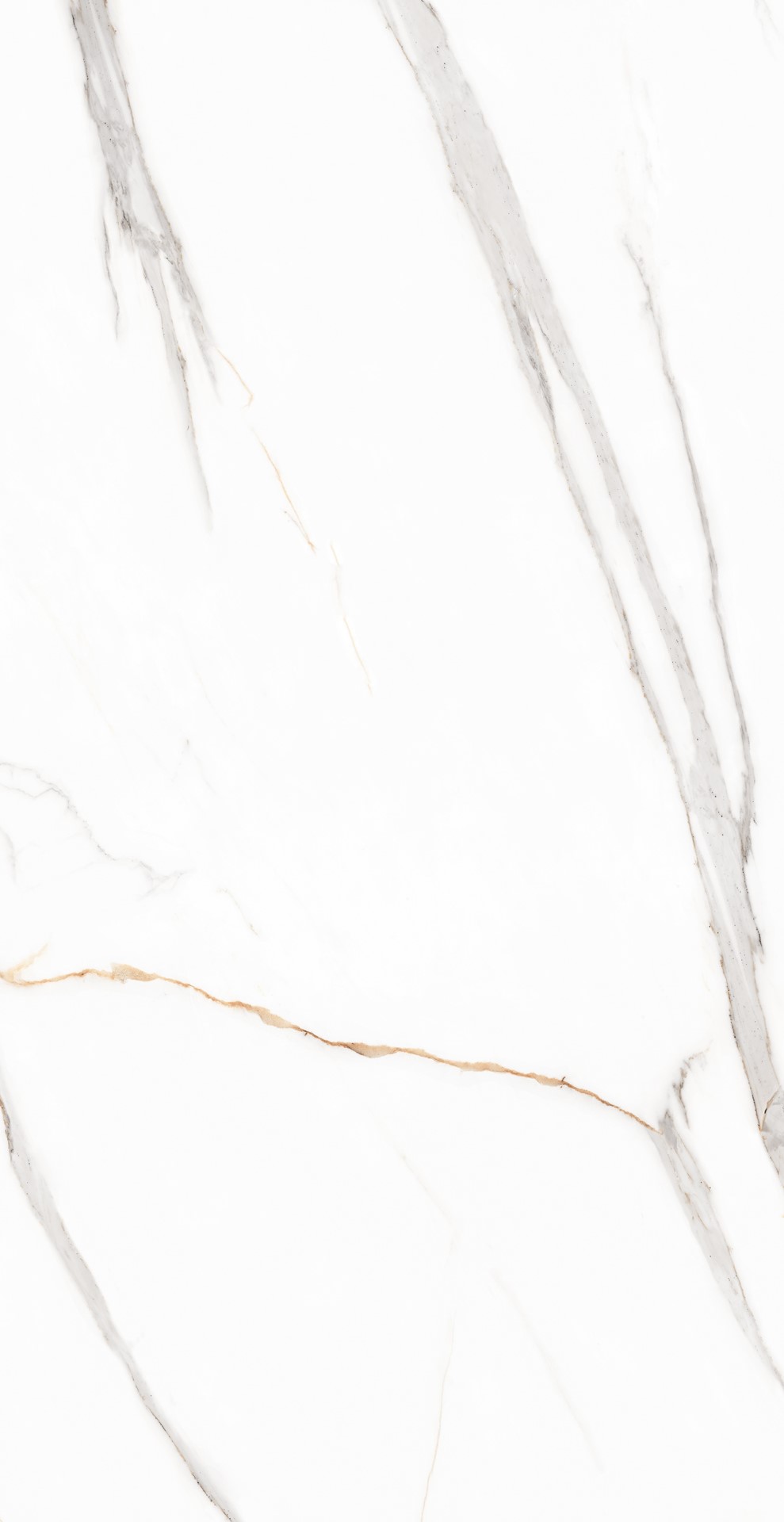 STATUARIO CARA CARVING REKT. 60X120 G.1