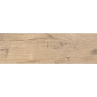 CARVALHO GOLD 20X60 GAT.1