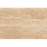 CARLOS BEIGE GLOSSY REKT. 30X45 GAT.1