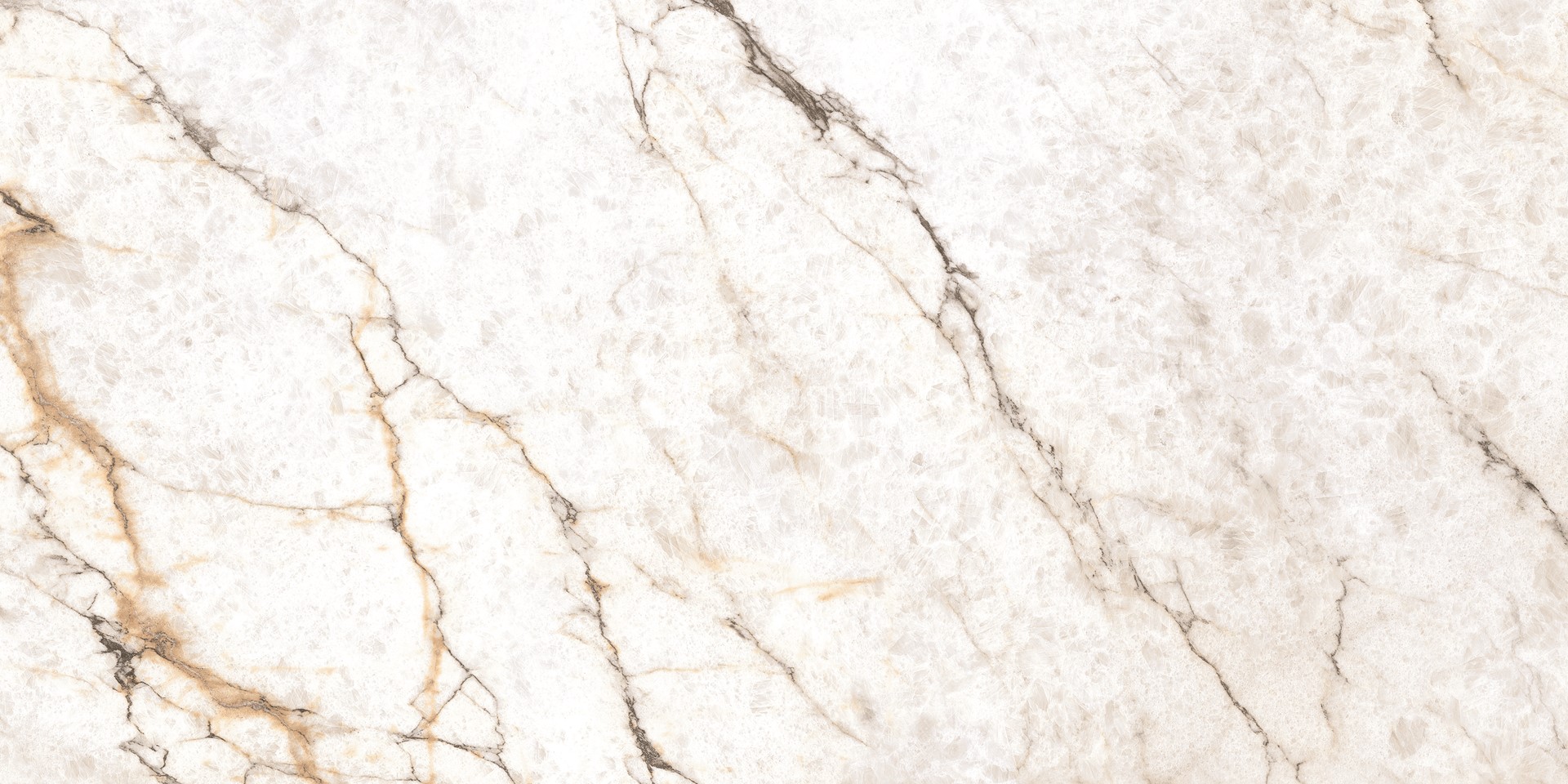 PRIMAVERA WHITE GEM REKT. 60X120 GAT.1