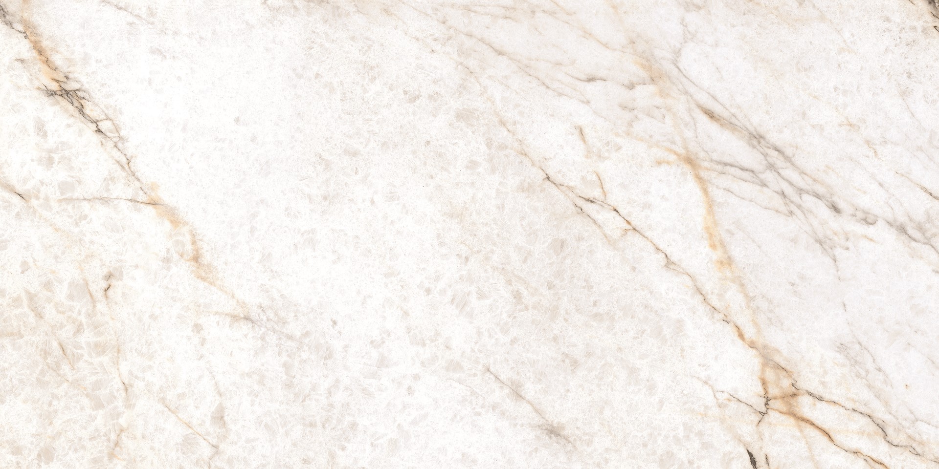 PRIMAVERA WHITE GEM REKT. 60X120 GAT.1 preview